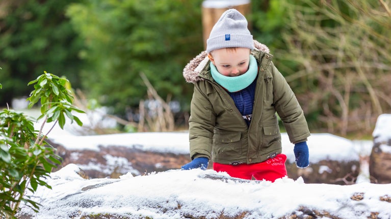 The Wild Play Area at Croome in Winter